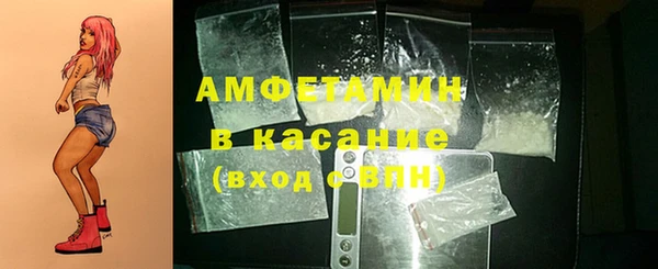 прущие грибы Лабытнанги