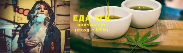 прущие грибы Лабытнанги
