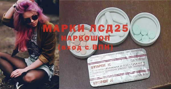 прущие грибы Лабытнанги