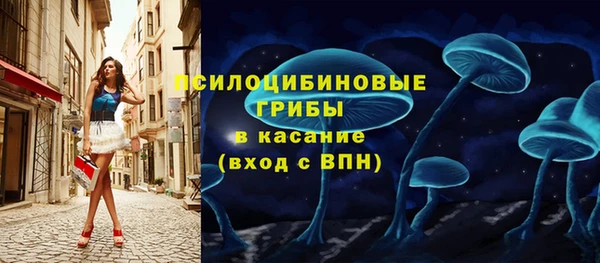 прущие грибы Лабытнанги