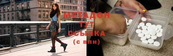 прущие грибы Лабытнанги