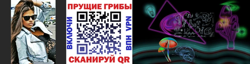 гидра как зайти  Мещовск  Галлюциногенные грибы мицелий 